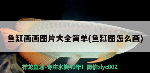 魚缸畫畫圖片大全簡單(魚缸圖怎么畫) 喂食器