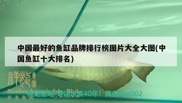 魚缸凈水器品牌排行榜(什么牌子的魚缸凈水劑效果好)