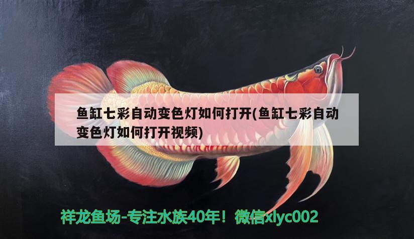 魚(yú)缸七彩自動(dòng)變色燈如何打開(kāi)(魚(yú)缸七彩自動(dòng)變色燈如何打開(kāi)視頻)