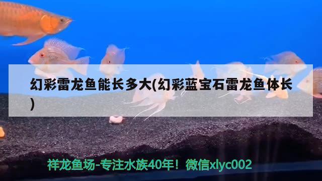 養(yǎng)水草的正確方法：養(yǎng)水草的正確方法圖片