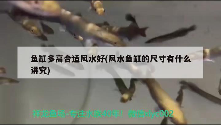 魚缸凈水器品牌排行榜(什么牌子的魚缸凈水劑效果好)