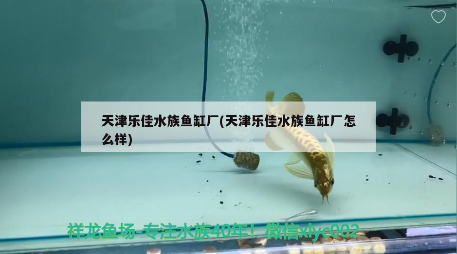 天津樂(lè)佳水族魚(yú)缸廠(天津樂(lè)佳水族魚(yú)缸廠怎么樣) 魚(yú)缸清潔用具