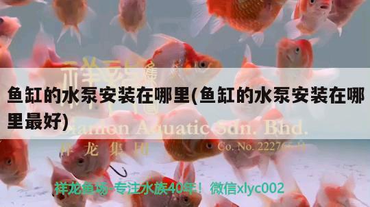 海水魚缸造景圖片大全集高清：海水魚缸設(shè)計(jì)圖 海水魚 第3張