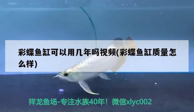 彩蝶魚缸可以用幾年嗎視頻(彩蝶魚缸質(zhì)量怎么樣)