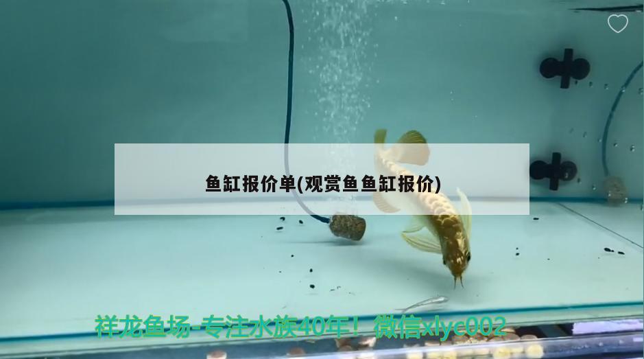 魚缸報(bào)價(jià)單(觀賞魚魚缸報(bào)價(jià)) 紅龍魚百科