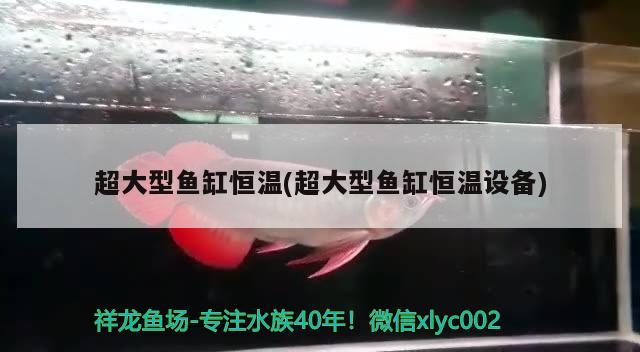 魚缸換氣安裝視頻大全：魚缸換氣管 廣州水族批發(fā)市場 第2張