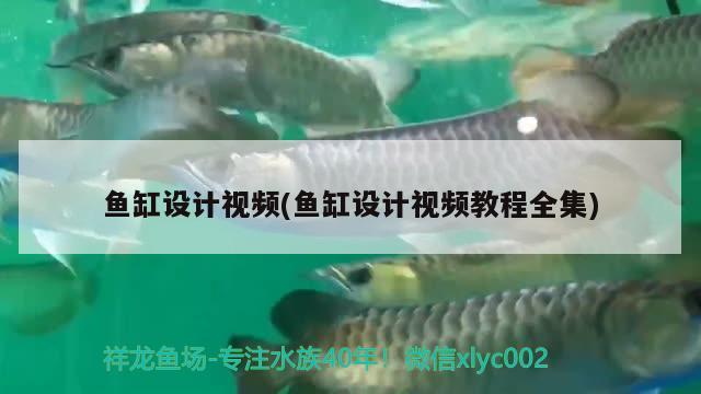 魚缸設(shè)計視頻(魚缸設(shè)計視頻教程全集)