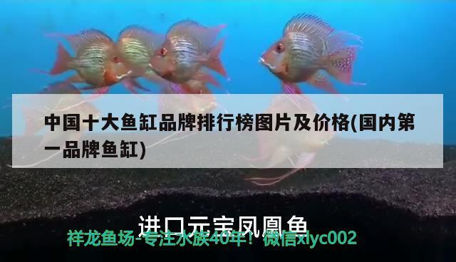 玉田二手魚缸出售電話地址在哪里(玉環(huán)哪里有賣成品魚缸的) 黑影道人魚 第3張