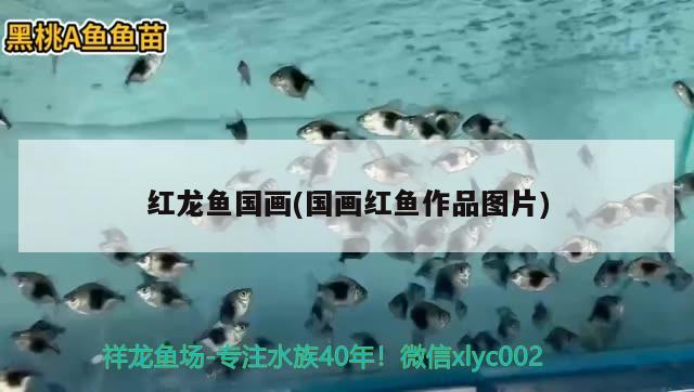 紅龍魚(yú)國(guó)畫(huà)(國(guó)畫(huà)紅魚(yú)作品圖片) 魟魚(yú)百科