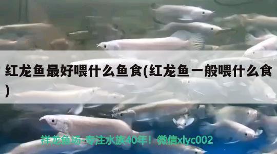 日創(chuàng)魚缸型號及其價格日創(chuàng)魚缸型號及其價格圖片型號，日創(chuàng)魚缸型號及價格及價格圖片