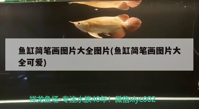 魚缸簡筆畫圖片大全圖片(魚缸簡筆畫圖片大全可愛)