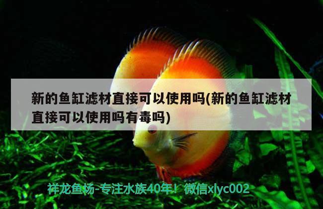 新的魚缸濾材直接可以使用嗎(新的魚缸濾材直接可以使用嗎有毒嗎) 一眉道人魚