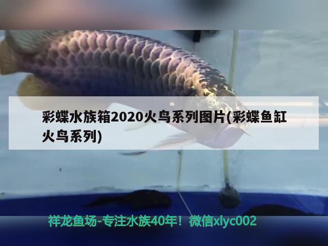 彩蝶水族箱2020火鳥系列圖片(彩蝶魚缸火鳥系列) 魚缸/水族箱