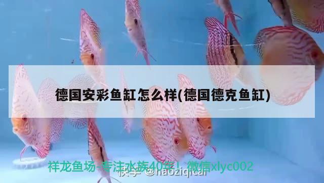 十堰市凱歌動物醫(yī)藥(孫濤店) 全國水族館企業(yè)名錄 第4張