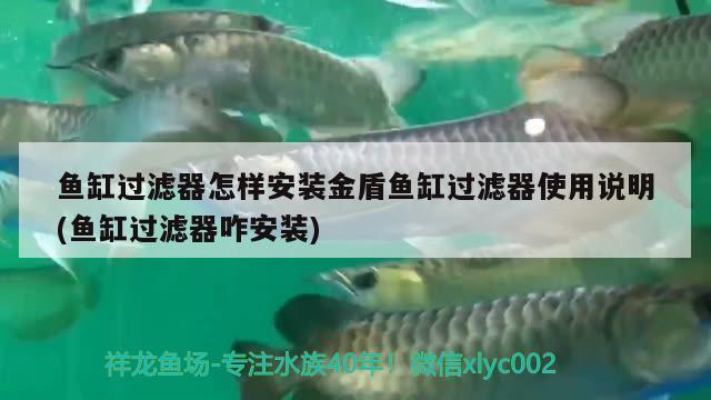 彩蝶魚(yú)缸火鳥(niǎo)2米最新款(彩蝶魚(yú)缸款式型號(hào))