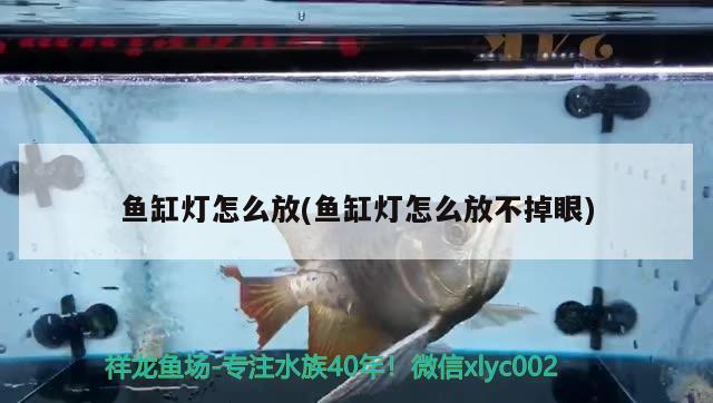 魚缸燈怎么放(魚缸燈怎么放不掉眼)