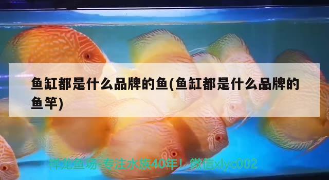 紹興銀泰魚缸米倉在幾樓？詳細(xì)解答相關(guān)介紹，紹興銀泰魚缸米倉在幾樓