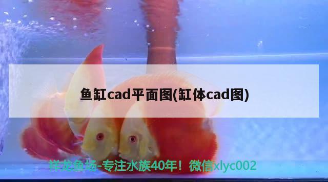 魚缸cad平面圖(缸體cad圖) 水族世界