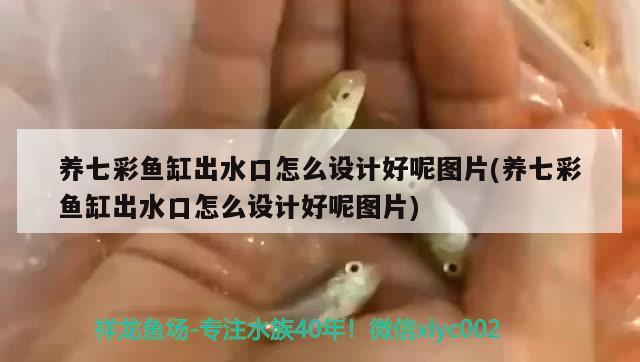 養(yǎng)七彩魚缸出水口怎么設(shè)計(jì)好呢圖片(養(yǎng)七彩魚缸出水口怎么設(shè)計(jì)好呢圖片) 紅白錦鯉魚