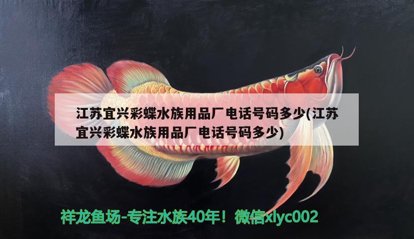 金龍魚(yú)股權(quán)登記日(金龍魚(yú)上市公司股東) 帝王血鉆魚(yú) 第2張