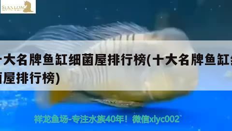 西安魚缸定制廠家有哪些地方電話號(hào)（西安魚缸定制廠家有哪些地方電話號(hào)）