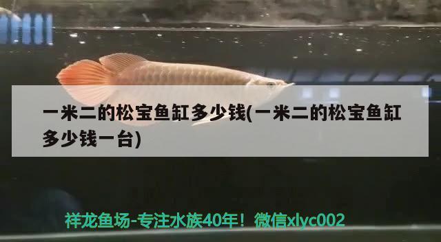 一米二的松寶魚缸多少錢(一米二的松寶魚缸多少錢一臺(tái))