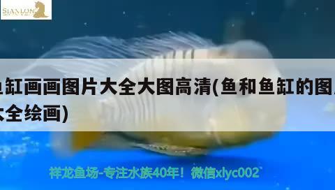 全國魚缸十大品牌排名榜前十名：中國魚缸品牌 廣州水族批發(fā)市場 第1張