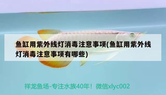 揚州魚缸品牌排行榜前十位有哪些公司(揚州魚缸市場在哪里)