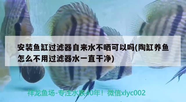 彰武縣鑫鑫魚族花卉店（彰武縣鑫鑫魚族花卉店電話） 全國水族館企業(yè)名錄 第2張