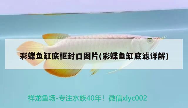 彩蝶魚缸底柜封口圖片(彩蝶魚缸底濾詳解)