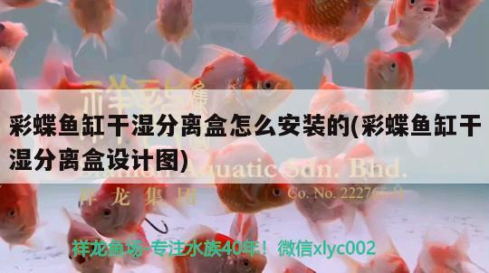 彩蝶魚缸干濕分離盒怎么安裝的(彩蝶魚缸干濕分離盒設(shè)計圖)