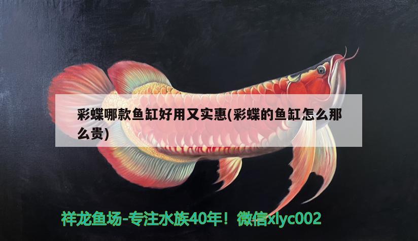 龍魚飼料排名榜最新（龍魚飼料排行榜） 觀賞魚飼料 第2張