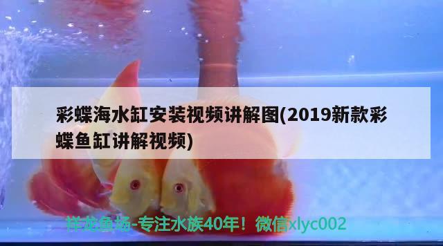 彩蝶海水缸安裝視頻講解圖(2019新款彩蝶魚缸講解視頻)