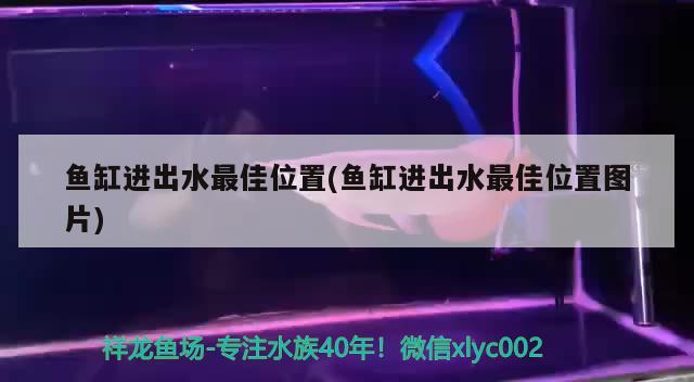 魚(yú)缸進(jìn)出水最佳位置(魚(yú)缸進(jìn)出水最佳位置圖片) 其他益生菌