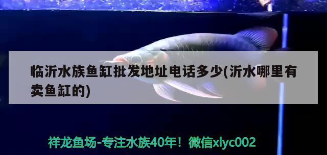 龍魚飼料排名榜最新（龍魚飼料排行榜） 觀賞魚飼料 第1張