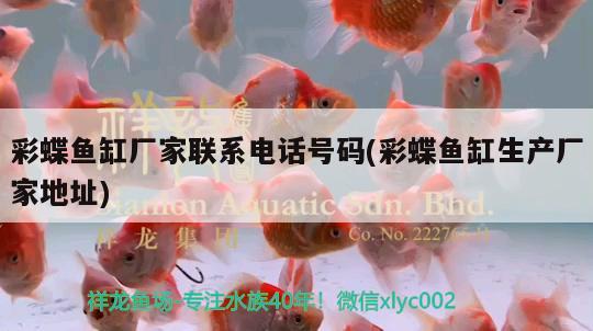 彩蝶魚(yú)缸廠家聯(lián)系電話(huà)號(hào)碼(彩蝶魚(yú)缸生產(chǎn)廠家地址) 帝王三間魚(yú)