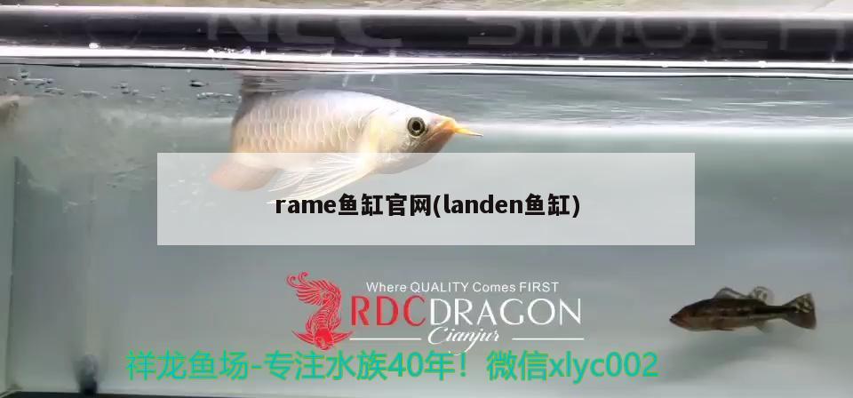 rame魚缸官網(wǎng)(landen魚缸) 三色錦鯉魚