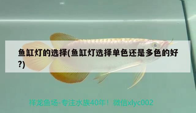 魚缸燈的選擇(魚缸燈選擇單色還是多色的好?)