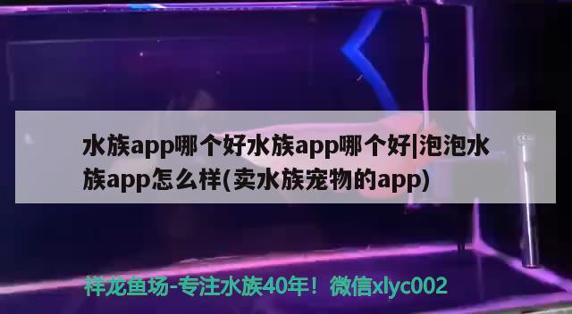 水族app哪個好水族app哪個好|泡泡水族app怎么樣(賣水族寵物的app)