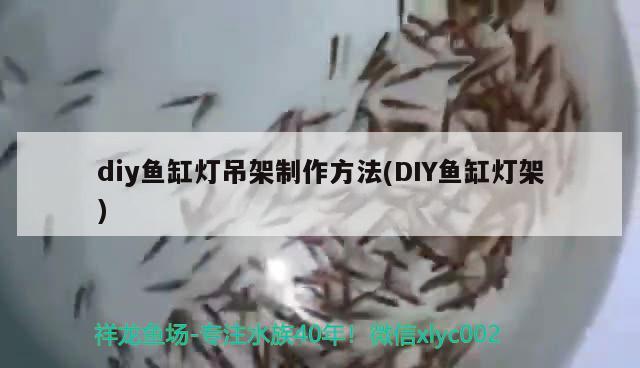 diy魚缸燈吊架制作方法(DIY魚缸燈架) 委內(nèi)瑞拉奧里諾三間魚