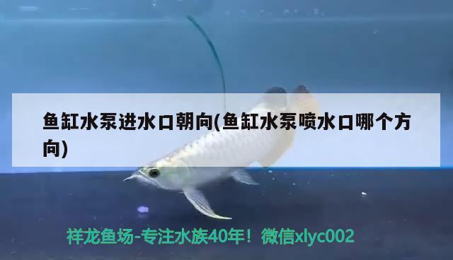 魚缸水泵進(jìn)水口朝向(魚缸水泵噴水口哪個(gè)方向) 魚缸水泵