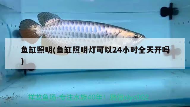 魚(yú)缸照明(魚(yú)缸照明燈可以24小時(shí)全天開(kāi)嗎) 綠皮辣椒小紅龍