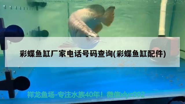 魚缸出水口水流太急怎么辦視頻，魚缸出水口太大怎么辦 新加坡號(hào)半紅龍魚（練手級(jí)紅龍魚） 第2張