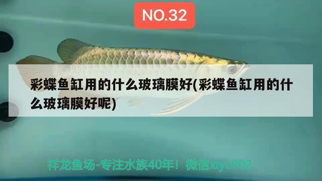 彩蝶魚缸用的什么玻璃膜好(彩蝶魚缸用的什么玻璃膜好呢) 黑白雙星魚