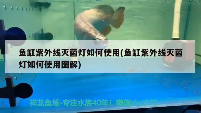 寶雞魚缸二手轉讓電話地址：天津哪些地方有賣魚缸