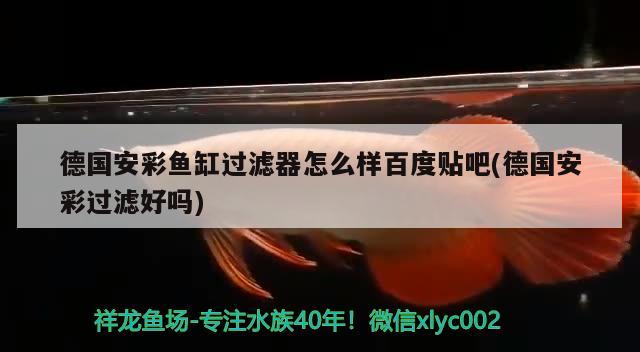 德國(guó)安彩魚(yú)缸過(guò)濾器怎么樣百度貼吧(德國(guó)安彩過(guò)濾好嗎)