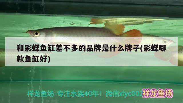 和彩蝶魚缸差不多的品牌是什么牌子(彩蝶哪款魚缸好)