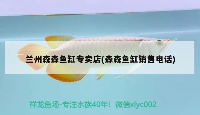 蘭州森森魚缸專賣店(森森魚缸銷售電話) 三色錦鯉魚