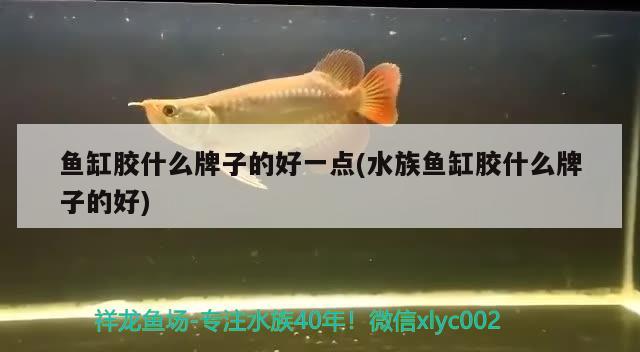 鄭州哪里批發(fā)魚缸最便宜又好：河南魚缸廠家哪家物美價(jià)廉