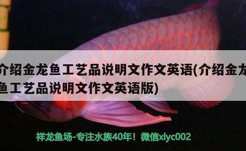 介紹金龍魚工藝品說明文作文英語(介紹金龍魚工藝品說明文作文英語版) 紅頭利魚